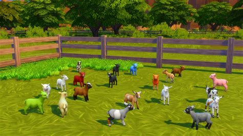 The Sims 4 Horse Ranch Mini Animals: The Adorable Walkthrough