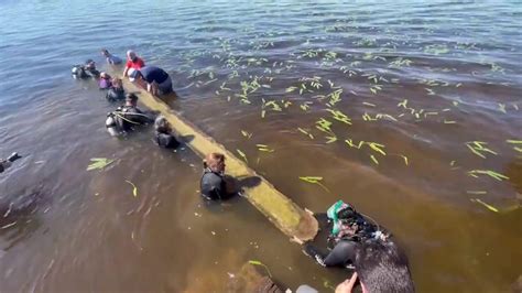 Nearly 1,000-year-old Native American canoe recovered from Lake Waccamaw - Arkeonews