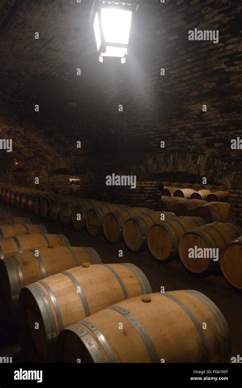 Concha y Toro winery, near Santiago, Chile Stock Photo - Alamy