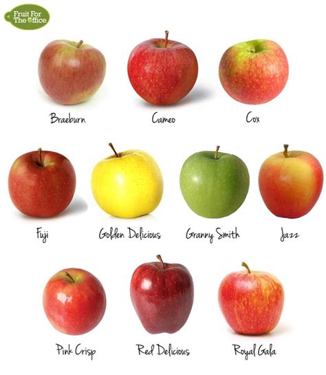 Types Of Apples Chart