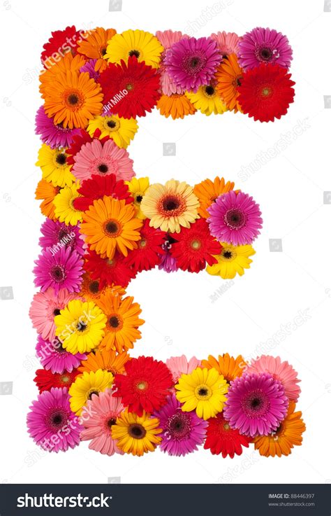 Letter E Flower Alphabet Isolated On ภาพสต็อก 88446397 | Shutterstock