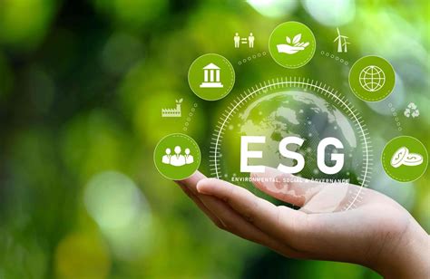 Understanding ESG And What It Means To Investors - TheDailyGuardian