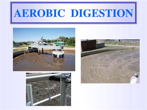 PPT - ANAEROBIC SLUDGE DIGESTION PROCESS PowerPoint Presentation, free download - ID:5615776