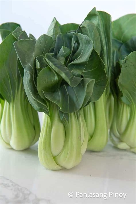 What is Bok Choy? - Panlasang Pinoy