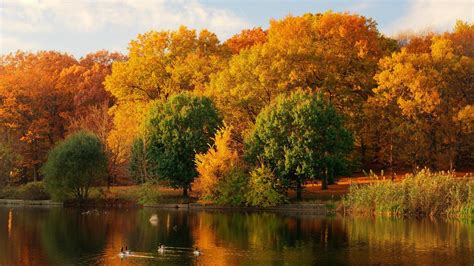 Пейзаж Природы Фото Осень — Фото