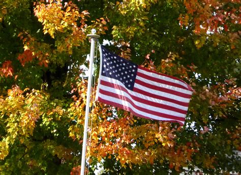 American Flag Foliage Background Free Stock Photo - Public Domain Pictures
