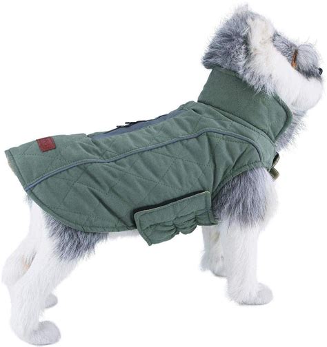 Cozy and Dry: The Best Dog Coats and Rain Jackets | Oakland Veterinary ...