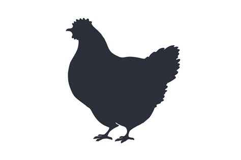 Hen, chicken. Black white silhouette