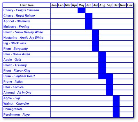 Fruit Ripening Calendar - Peta Trudey