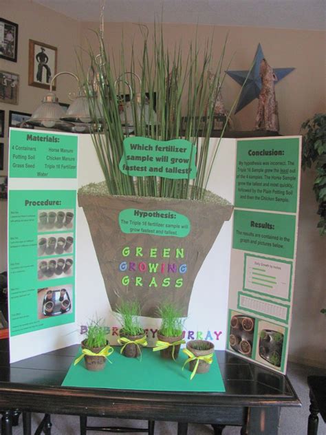 Science Fair Ideas For Plants