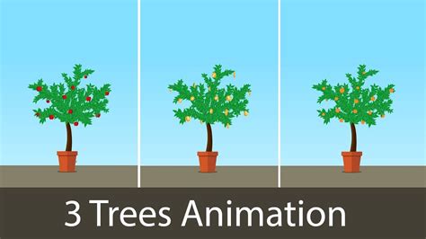 Growing Plant Animation