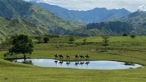 horses are standing in the grass near a pond with mountains in the ...