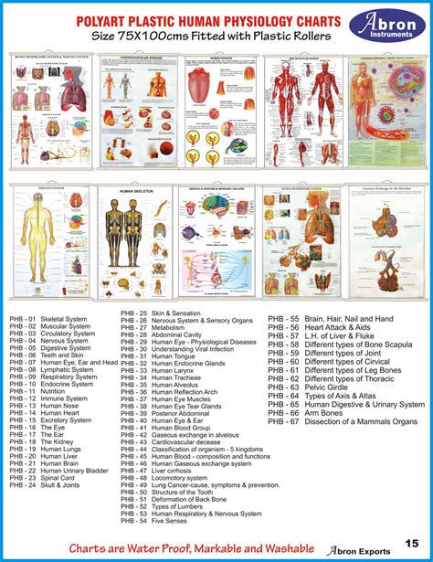 Human Physiology Chart Large Paper Laminated 100 x 120 cms with Roller ...