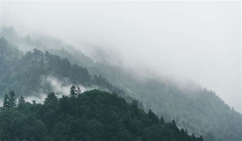 HD wallpaper: mountain, forest, trees, nature, landscape, fog, foggy ...