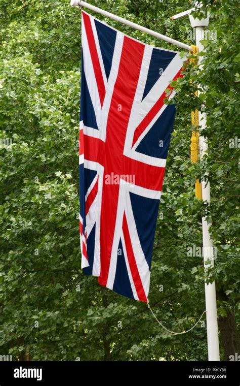 British Union Jack flag flying vertically with trees in the background ...