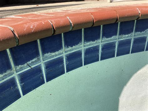 Calcium build up removal tips : r/pools