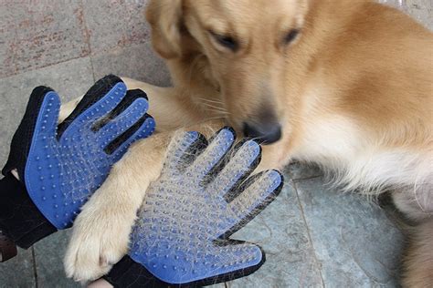 Pet Grooming Gloves » Petagadget