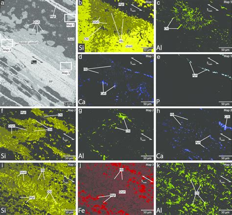 Backscatter scanning electron microscopy (SEM) image (a) and Energy ...