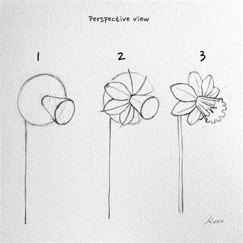 How To Draw A Flower Step By Step With Pictures