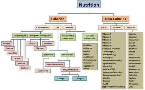 Nutrition | Nutrition chart, Nutrition, Nutrition and dietetics