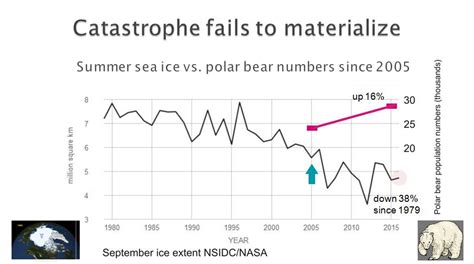 Polar bear numbers not declining despite media headlines suggesting otherwise | polarbearscience