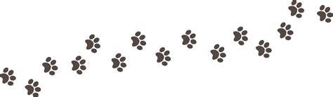 Paw print foot trail. Dog, cat paw print. Vector 5449925 Vector Art at Vecteezy