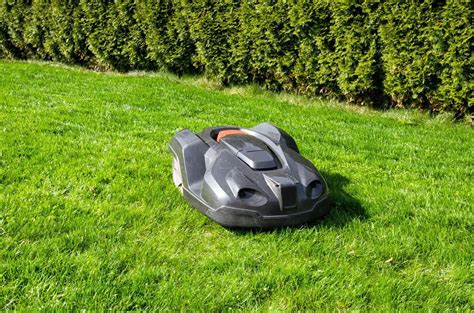 Top 6 Best Robot Lawn Mower Reviews - Buying Guide 2024 | Constant Delights