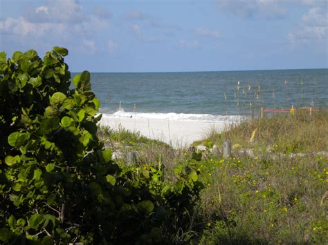 Indian Shores Beach, Florida | Indian shores, Indian shores beach, Shores beach