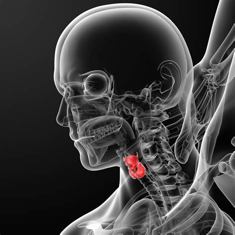 What causes airway obstruction? – Article 999