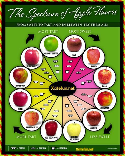 The Spectrum of Apple Flavors - Types of Apple - XciteFun.net