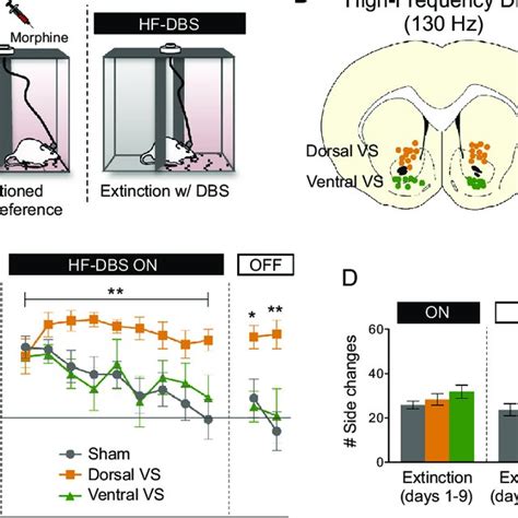 High-frequency deep brain stimulation (HF-DBS) of dorsal– ventral... | Download Scientific Diagram