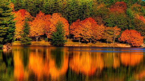 Colorful Autumn Leafed Trees Reflection On Calm Body Of Water During ...