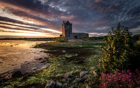 The History of Dunguaire Castle - This is Galway