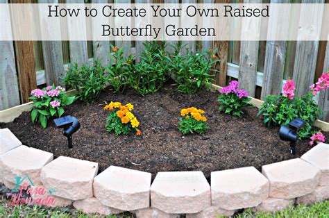 How to Create Your Own Butterfly Garden - Sprinkle DIY