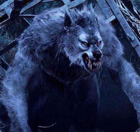 Werewolf legends around the world: The legend of lycanthropy | Horror