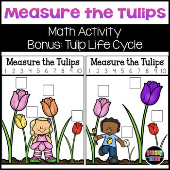 Measure the Tulips Math Activity & Tulip Life Cycle by Turner Tots