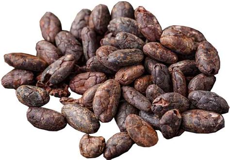 Cocoa Beans: (Plantation + Health Benefits + Facts) - Science4Fun