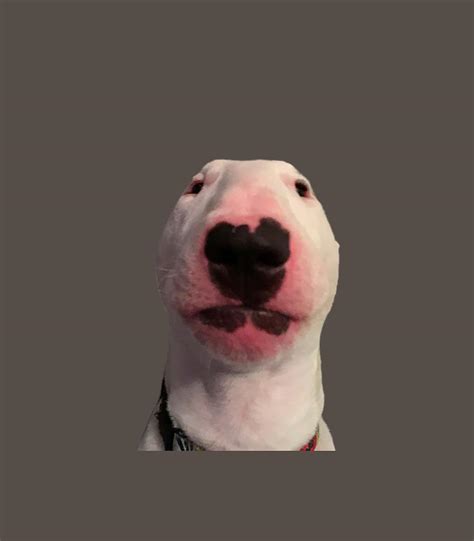 Walter dog Meme Digital Art by Glenn Tilia | Fine Art America