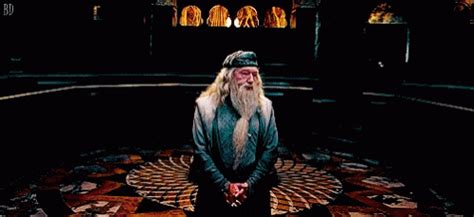 Dumbledore Albus Percival Wulfric Brian Dumbledore GIF - Dumbledore ...