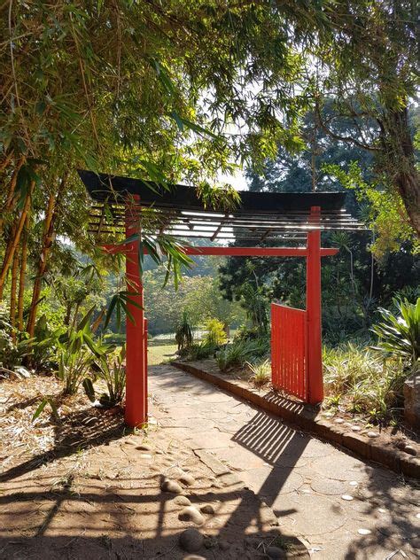 15 Japanese gardens Durban South Africa ideas | durban south africa ...