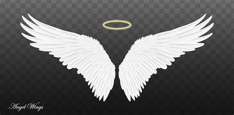 Premium Vector | Pair of beautiful white angel wings isolated on ...