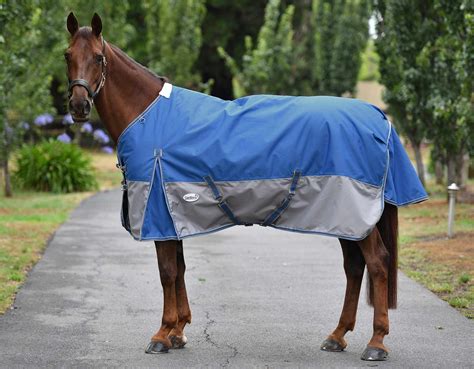 Alpine 1200D 200g Winter Horse Rug | Caribu Horse Wear