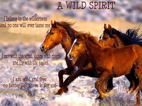 Breaking A Wild Horse Quotes. QuotesGram