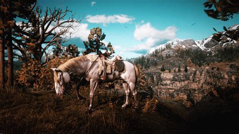 Finally got the panther saddle to match with my horse : r/reddeadredemption2