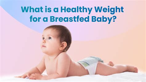 What is the Healthy Weight for Baby? | Weight Gain in Breastfeeding ...