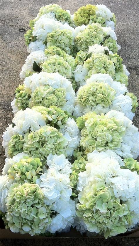 stunning white hydrangea centerpiece | Hydrangeas wedding, Green ...