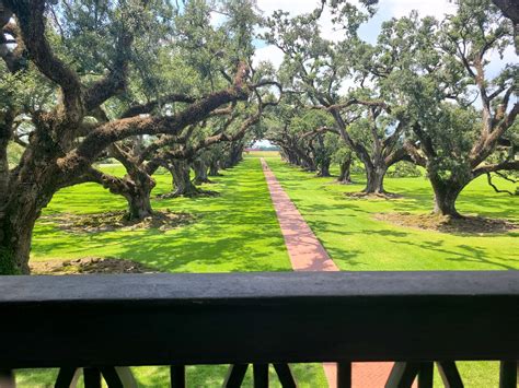 Oak Alley Plantation Tour with Transportation - New Orleans, United ...