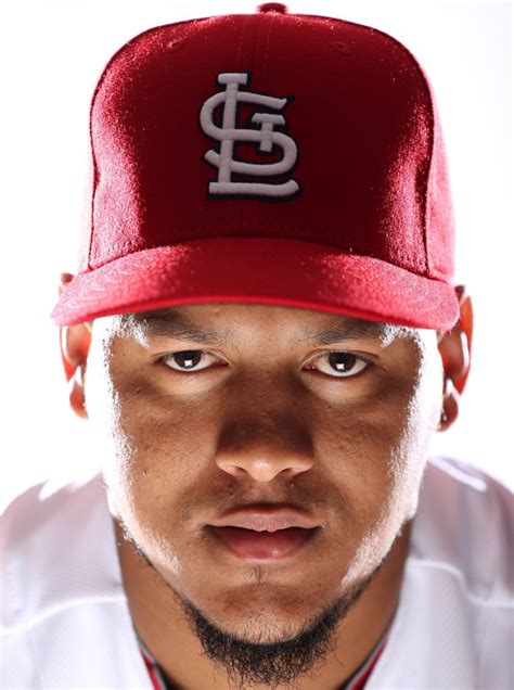 St. Louis Cardinals player portraits | St louis cardinals baseball ...