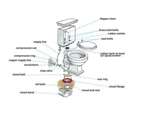 How to Install a Toilet | Toilet installation, Toilet plumbing, Diy plumbing