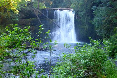 Silver Falls State Park: Natural Beauty and Waterfalls » Linda Atwell